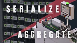 Serialization and Aggregation [upl. by Merchant611]