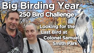 250 Bird Challenge Looking For The Last Bird at Colonel Samuel Smith Park [upl. by Betthezul291]