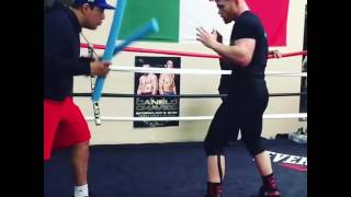 El SECRETO de Canelo Alvarez  Esquiva golpes bailando SALSA [upl. by Stringer]