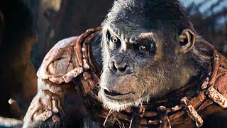 Kingdom of the Planet of the Apes Full Movie  Hollywood Full Movie 2024  Full Movies in English [upl. by Coats593]