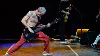 HQ Red Hot Chili Peppers  Cant Stop Lollapalooza Argentina 2014 [upl. by Caritta]