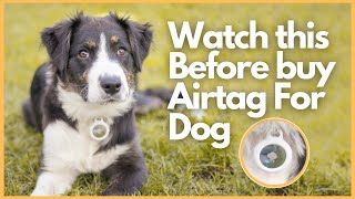 I bought Airtag for My Dog  Airtag for Pets Test  BM Maniya  Indian Vlogger [upl. by Reppep]