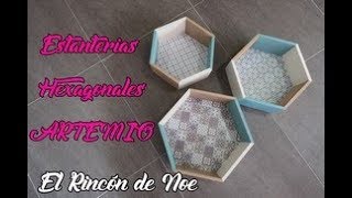 COMO HACER ESTANTERIAS HEXAGONALES ARTEMIO El Rincón de Noe [upl. by Barnebas]