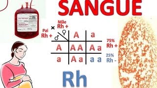 Sistema Rh e ABO Herança e Transfusão Sanguínea Pt1 [upl. by Linoel]