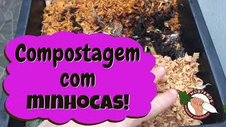 Compostagem com minhocas [upl. by Rhiamon]