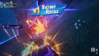 Fortnite Lions Victory Royale [upl. by Atinnek]