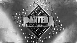 Pantera  Immortally Insane Official Audio [upl. by Rockafellow]