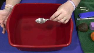 Sink or Float  Science Activity [upl. by Richers]