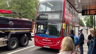 205 TfL London Bus  Euston to Paddington [upl. by Marcin438]