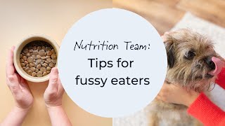 Tips for fussy dogs [upl. by Eirbua304]