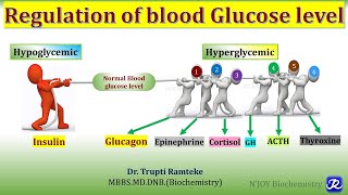 Homeostasis 1 Physiological Principles [upl. by Abehs]