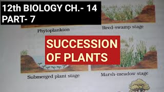 Class 12 biology chapter 14Part 7Succession of plantsStudy with Farru [upl. by Ayama]