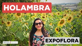 O que fazer em Holambra em 1 dia com Expoflora 2023 [upl. by Lessig]