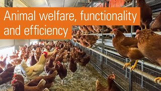 Modern aviary system for free range and barn egg production  Natura Step [upl. by Blackwell370]