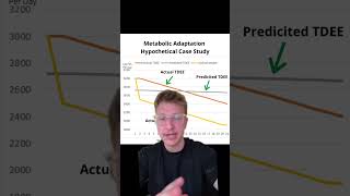 Starvation mode vs metabolic adaptation [upl. by Vitek728]