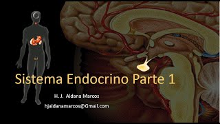 Glándulas endocrinas Parte 1 de 7 Hernán Aldana Marcos [upl. by Llennoc]