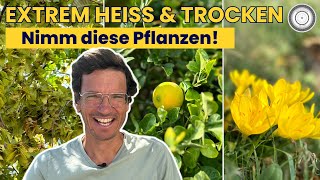 GEHÖLZE amp PFLANZEN für richtig HEISSE Standorte 🌿 🔥 [upl. by Richards338]