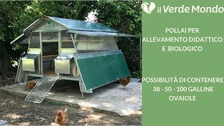 Pollaio per Allevamento Avicolo Didattico e Biologico  Per Galline Ovaiole [upl. by Eannyl203]