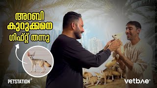 കുറുക്കനെ ഗിഫ്റ്റ്‌ കിട്ടി ഇതിനെ എങ്ങനെ നാട്ടിൽ കൊണ്ട്‌ വരും Jamal gifted us Fennec Fox 🦊 😍🔥 [upl. by Anama]