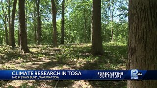 Climate adaptation research happening inside Wauwatosa forest [upl. by Tibold]