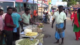 JAFFNA CITY STREETS [upl. by Sarge]