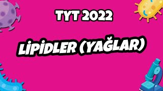 Lipidler Yağlar  TYT Biyoloji 2022 hedefekoş [upl. by Nylyak788]