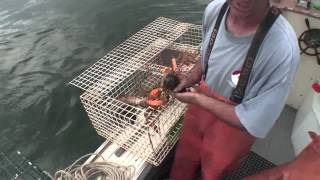 Lobstering From the Bow Seat [upl. by Ellecrad224]