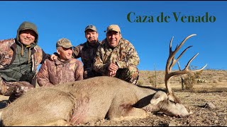 Caza de Venado Bura en Chihuahua México con Grandes Trofeos [upl. by Benni571]