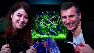 Planted Aquarium MAINTENANCE GUIDE For Beginners [upl. by Norvall]