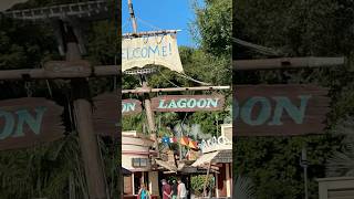 Typhoon Lagoon Wave Pool Disney Florida typhoonlagoon disney wavepool disneyland orlando [upl. by Inacana]