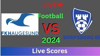 Haugesund Vs Sarpsborg 08 fotball live kamp i dag Målresultat  2024 [upl. by Remliw985]