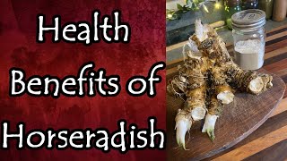 Health Benefits of Horseradish [upl. by Tracie]