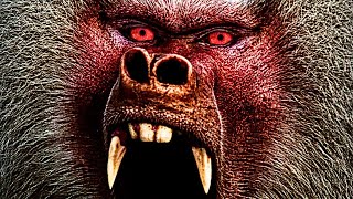 Bloodthirsty Baboon Rampage Unleashing Shakma [upl. by Sualakcin]