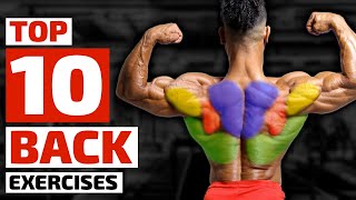 Top Trainers Agree These are the 10 Best Exercises for Building a Bigger Back [upl. by Icyac]