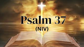 Psalm 37 NIV [upl. by Reichert980]