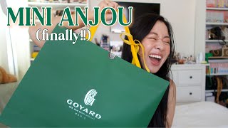 UNBOXING  GOYARD MINI ANJOU ❤️💛💚 Includes Current Price amp Close Ups [upl. by Isyad532]