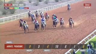 Live Hippodrome « SETTAT »  Courses du « 10012024 » [upl. by Frank]