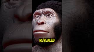 Are these our ancestors Homo Naledi fossils😱history historyfacts shorts facts [upl. by Yengac]