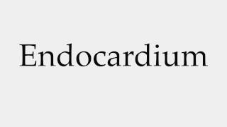 How to Pronounce Endocardium [upl. by Lehcin662]