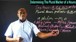 Twi Singular and Plural Nouns 5  Determining The Plural Marker of The Nouns  Learn Twi with Opoku [upl. by Frymire]