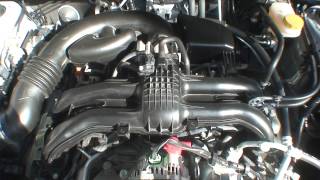 Subaru XV  FB 20 Engine at idle cold start [upl. by Malloy]