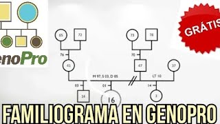 ¿Cómo hacer un Familiograma usando Genopro [upl. by Highams]