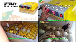 🥚🔥 Las 7 MEJORES Incubadoras de Huevos BUENAS y BARATAS de Amazon 2024✅CalidadPrecio Pollos [upl. by Comptom]