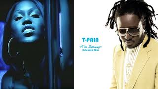 TPain  Im Sprung Extended Mix feat Trick Daddy amp The Youngbloodz [upl. by Enelcaj]