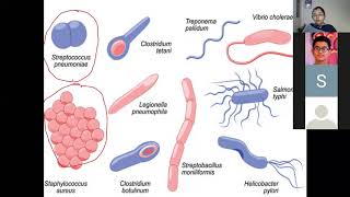 Lecture 15 plasmid and episomes [upl. by Netsrik]