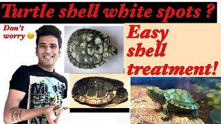 How to clean turtle shell  White spots on shell  shell Rot issue 🐢 [upl. by Enneyehs]