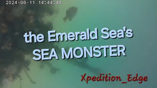 Part 2 The Pacific Nothwest has a Sea Serpent what does the underwater camera reveal [upl. by Bussey94]