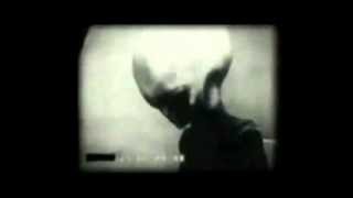 Wikileaks Video of Real Grey Alien Roswell Interviews [upl. by Julianna]