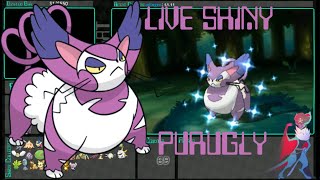 Live Shiny Purugly on 69 Dex Nav Chain  Omega Ruby [upl. by Erlina]