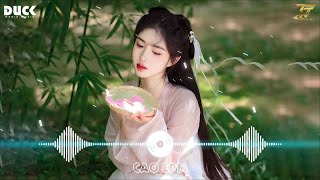 Nhạc TikTok Trung Quốc Lời Việt Remix ♫ LK Nhạc Hoa Lời Việt Remix Hay Nhất 2023 [upl. by Trumaine]